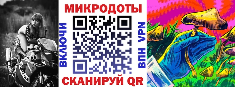 Галлюциногенные грибы Cubensis  Купить где  Подпорожье 
