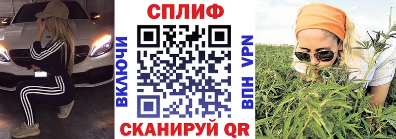 Купить где  Подпорожье  Каннабис White Widow 